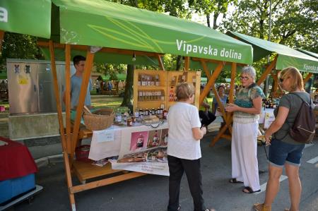 vipavska ned-379